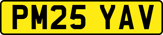 PM25YAV