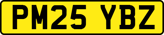 PM25YBZ