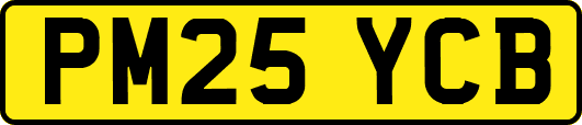 PM25YCB