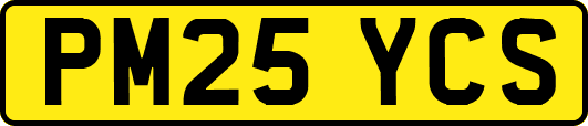 PM25YCS