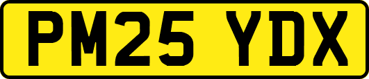 PM25YDX