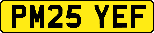 PM25YEF