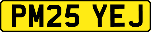 PM25YEJ