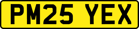 PM25YEX