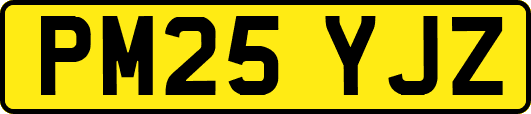 PM25YJZ