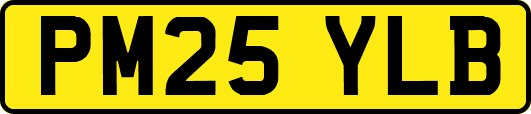 PM25YLB