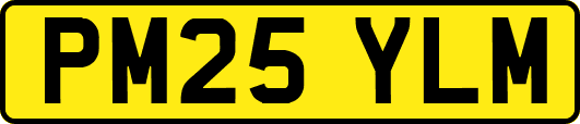 PM25YLM