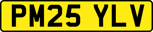 PM25YLV
