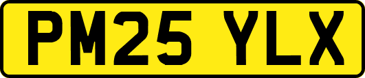 PM25YLX