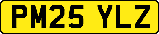 PM25YLZ