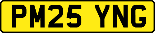 PM25YNG