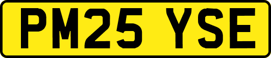 PM25YSE