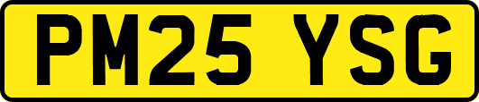 PM25YSG