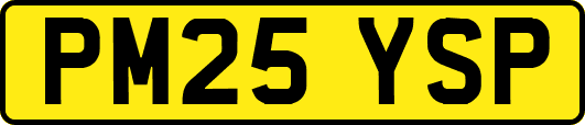 PM25YSP
