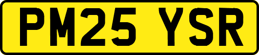 PM25YSR