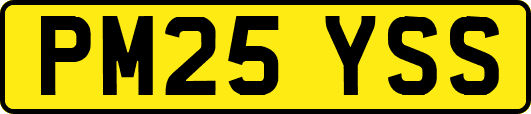 PM25YSS