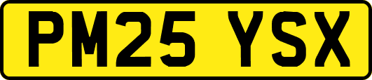 PM25YSX