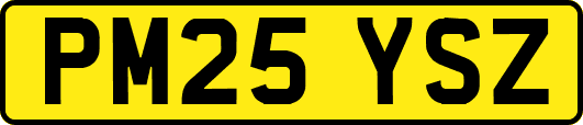 PM25YSZ