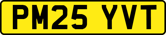 PM25YVT
