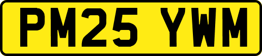 PM25YWM