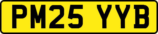 PM25YYB