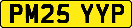 PM25YYP