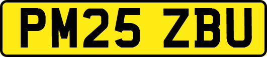 PM25ZBU