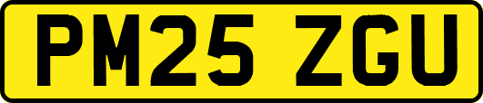 PM25ZGU