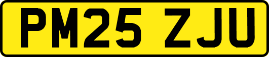 PM25ZJU