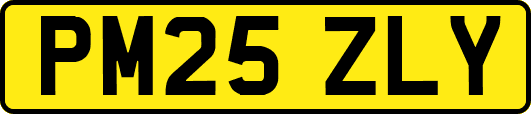 PM25ZLY