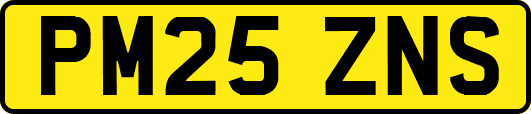 PM25ZNS