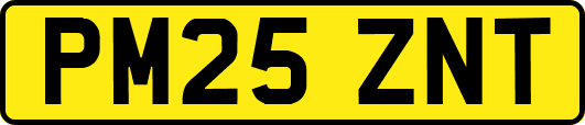 PM25ZNT