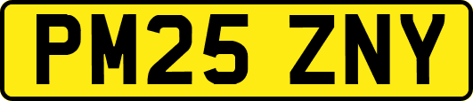 PM25ZNY