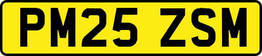 PM25ZSM