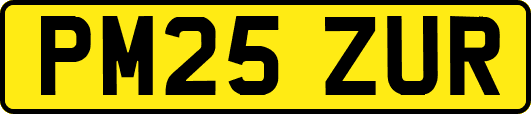 PM25ZUR