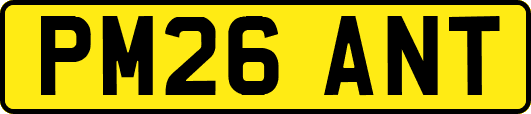 PM26ANT