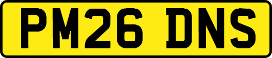 PM26DNS