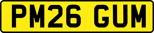 PM26GUM