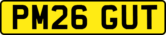 PM26GUT
