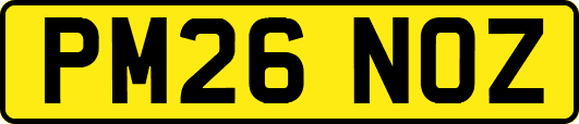 PM26NOZ