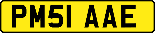 PM51AAE