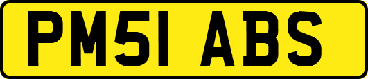 PM51ABS