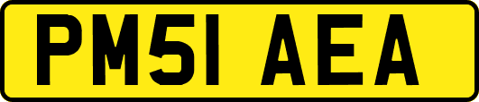 PM51AEA