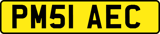 PM51AEC