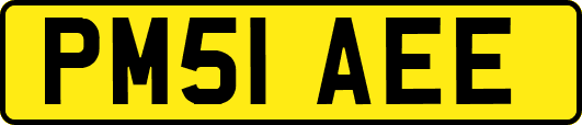 PM51AEE