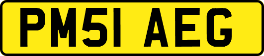 PM51AEG