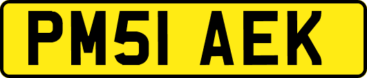 PM51AEK