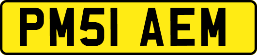 PM51AEM