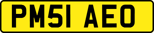 PM51AEO