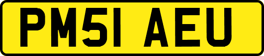 PM51AEU